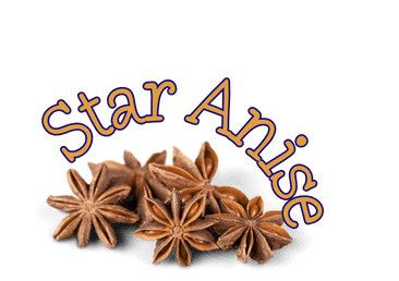 Star Anise star anise herb